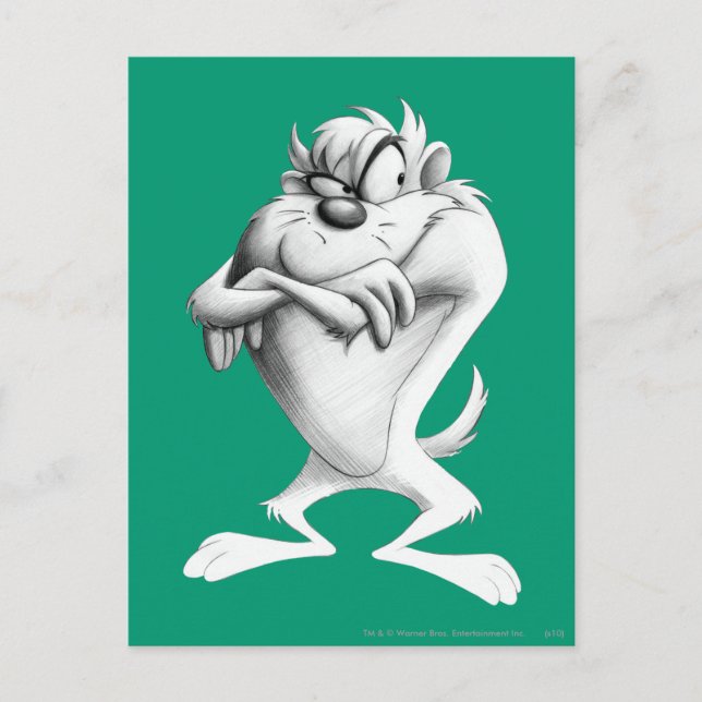 Postal Dibujo TAZ™ (Anverso)