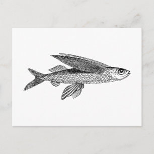 Postal Dibujo vintage de peces voladores