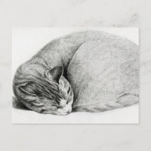 Postal Dibujo vintage de un gatito