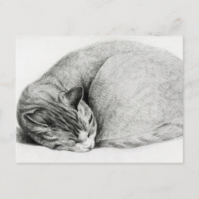 Postal Dibujo vintage de un gatito (Anverso)