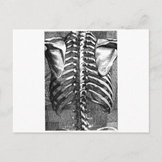 Postal Dibujo vintage de una columna vertebral y una cint