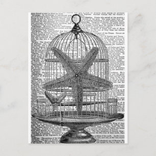 Postal diccionario de playa impresión steampunk Birdcage 