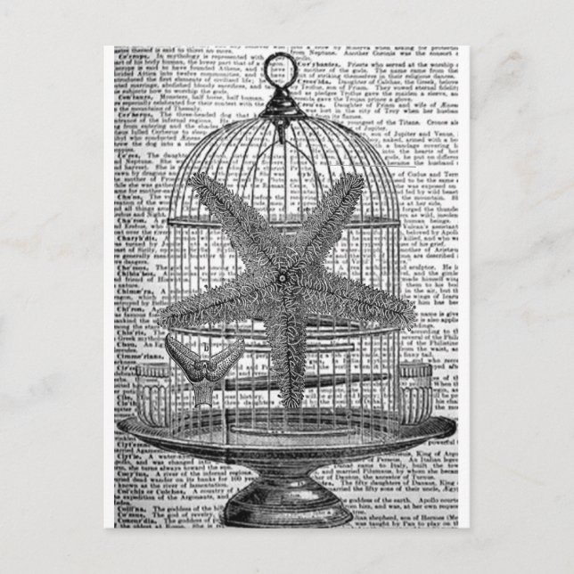 Postal diccionario de playa impresión steampunk Birdcage  (Anverso)