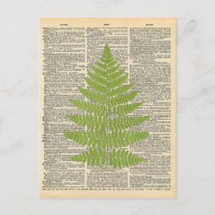 Postal Diccionario vintage Art Green Fern Frond