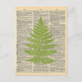 Postal Diccionario vintage Art Green Fern Frond
