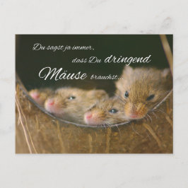 Postal Dices siempre, que necesitas ratones urgentes