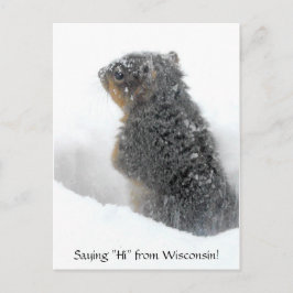 Postal Diciendo hola desde Wisconsin Snowy Squirrel