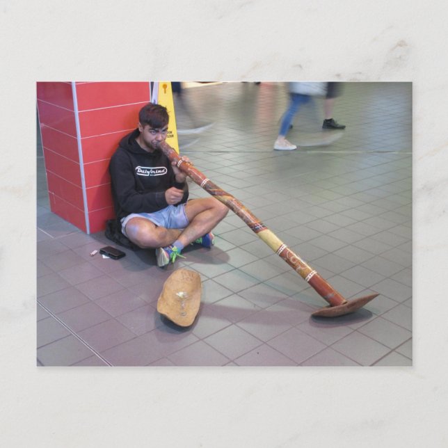 Postal Didgeridoo Busker en Sydney Postcard (Anverso)