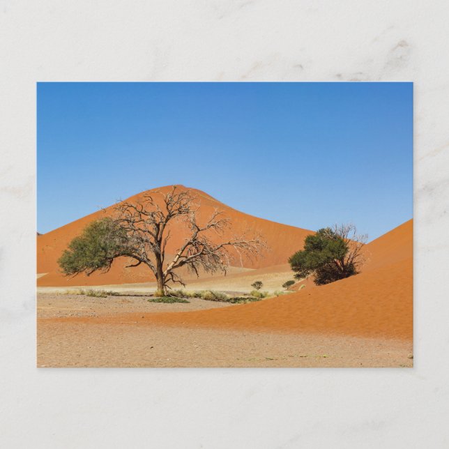 Postal Die Dünen des Sossusvlei in Namibia (Anverso)