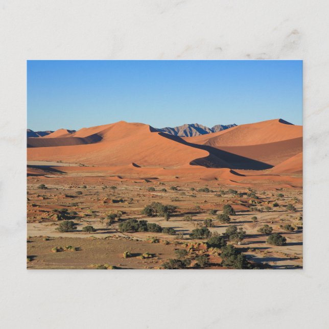 Postal Die Dünen des Sossusvlei in Namibia Postkarte (Anverso)