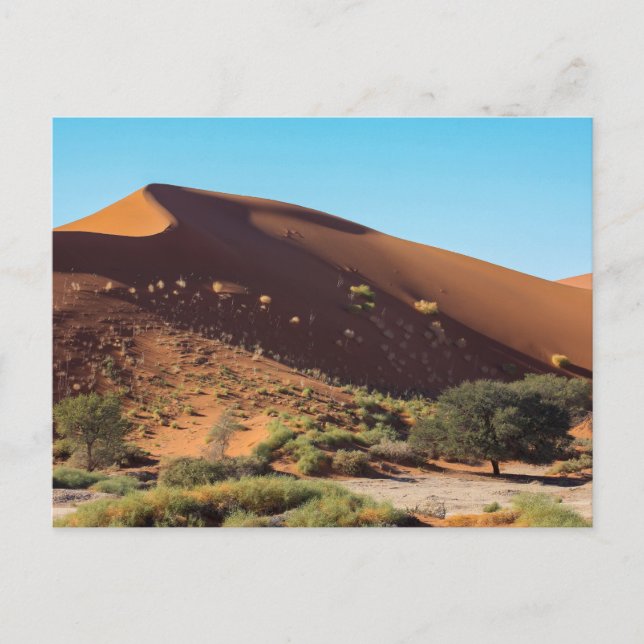 Postal Die Dünen des Sossusvlei in Namibia Postkarte (Anverso)