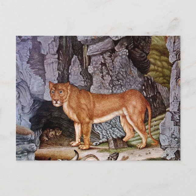 Postal Die Löwin o The Lioness (1832) (Anverso)