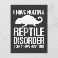 Difícil Desorden Repticio Lizard Dueño Animal Love