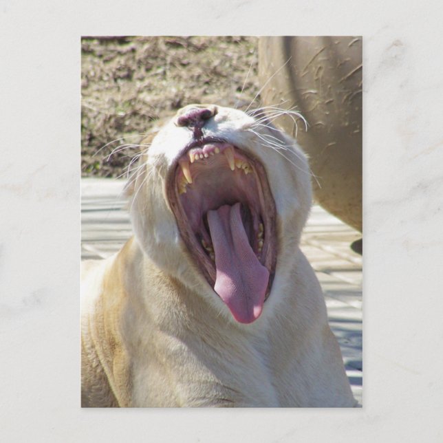 Postal ¡Difundan La Noticia! (Anverso)