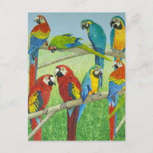 Postal Difundiendo las noticias