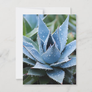 Postal Digital Fotorealista Botánico Delicado Agave