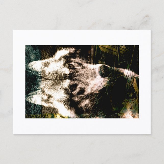 Postal Digital Remix Art : Wolf Postcard Print by JHT (Anverso)