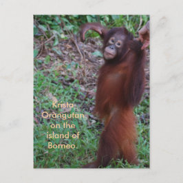 Postal Dile no a los matones con el orangután de Krista