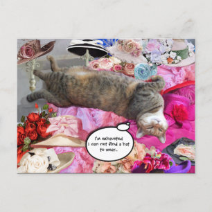 Postal Dilema del gato de la princesa Tatus