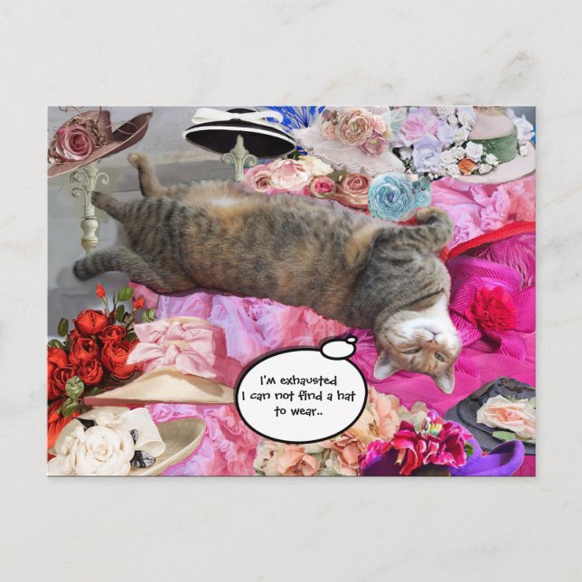 Postal Dilema del gato de la princesa Tatus (Anverso)