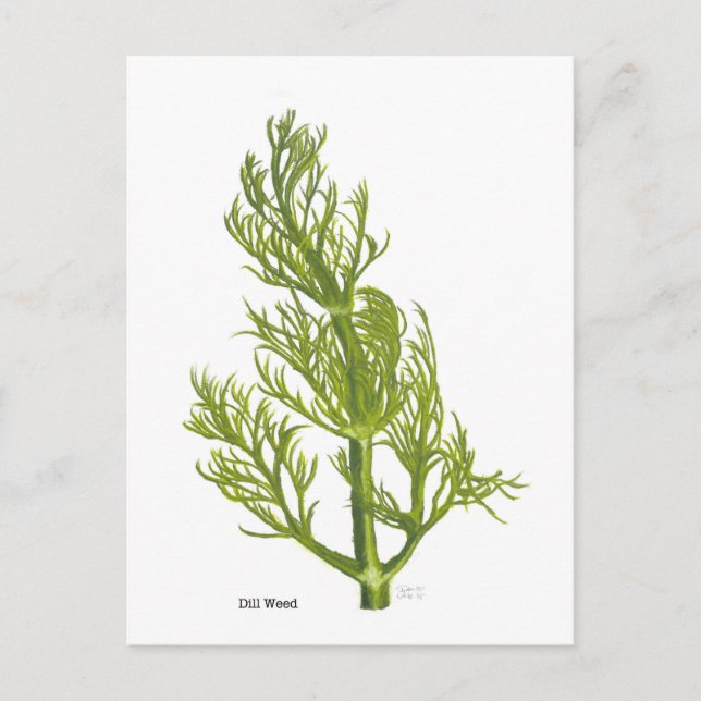 Postal Dill Art (Anverso)