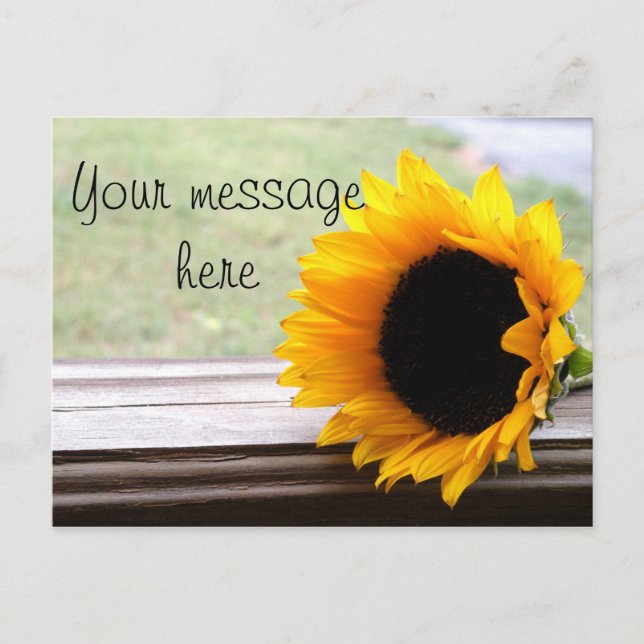 Postal Dilo en girasoles (Anverso)