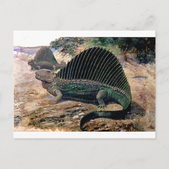 Postal dimetrodon-1 (Anverso)