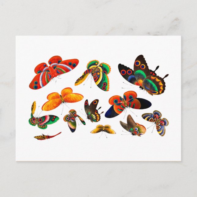 Postal Dinastía Qing de la mariposa china y pintura de in (Anverso)