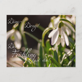 Postal ¡Ding-Dong! ¡Der Frühling ist da!
