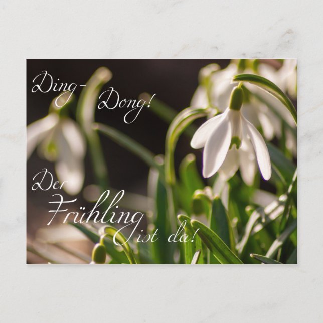 Postal ¡Ding-Dong! ¡Der Frühling ist da! (Anverso)