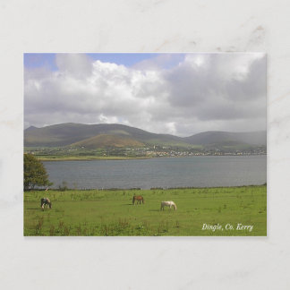 Postal Dingle Bay, Co. Kerry