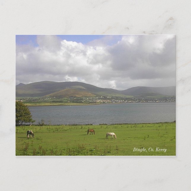 Postal Dingle Bay, Co. Kerry (Anverso)