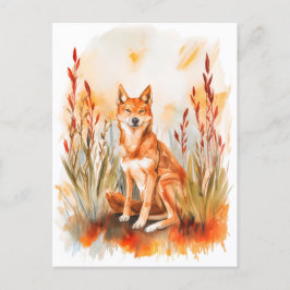 Postal Dingo acuarela en hierba