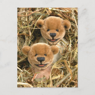 Postal Dinky Bears Farmer Kids