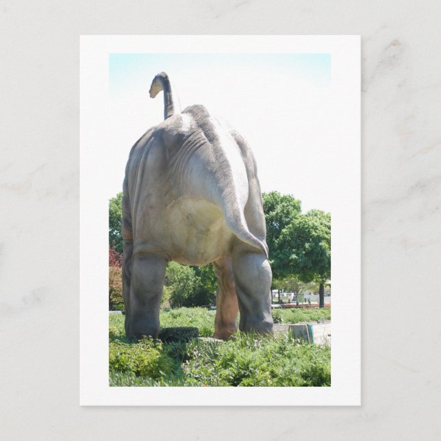 Postal Dinosaurio Brontosauro (Anverso)