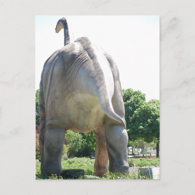 Postal Dinosaurio Brontosaurus (Anverso)