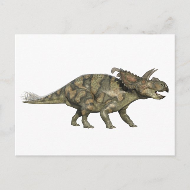 Postal Dinosaurio de Albertaceratops en perfil lateral (Anverso)