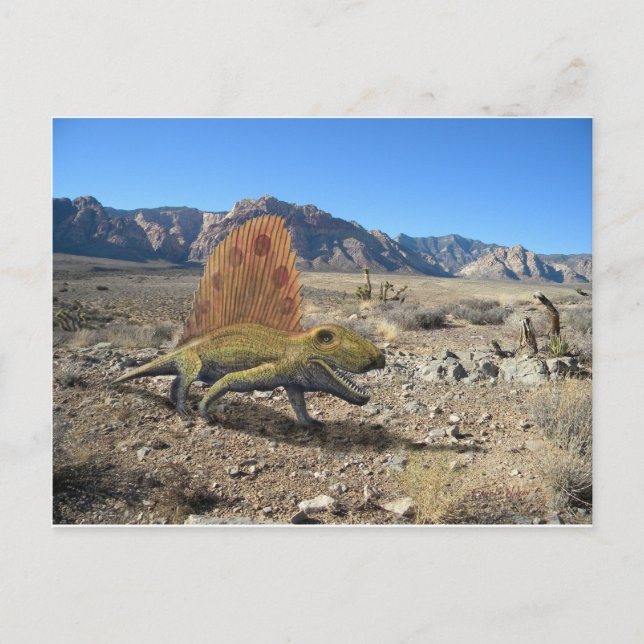Postal Dinosaurio de Dimetrodon (Anverso)