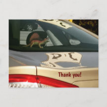 Dinosaurio divertido Gracias Postcard