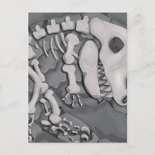 Postal Dinosaurio Fossil (Anverso)