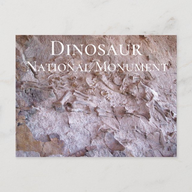 Postal Dinosaurio Fossils Dinosaur Monumento Nacional (Anverso)