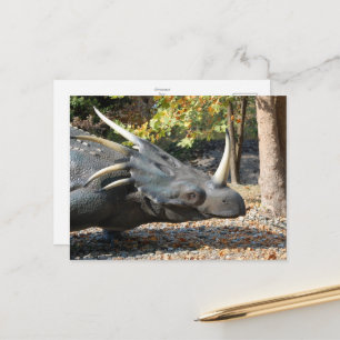 postal _ dinosaurio _ triceratops