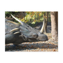 postal _ dinosaurio _ triceratops