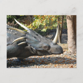 postal _ dinosaurio _ triceratops