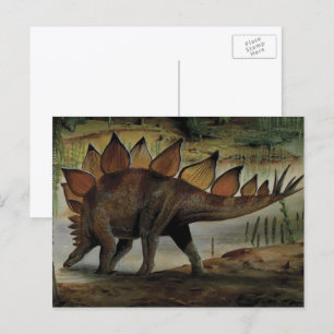 Postal Dinosaurios antiguos, Stegosaurus, cola con púas
