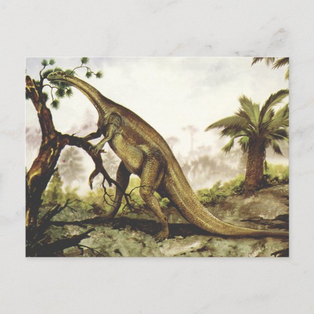 Postal Dinosaurios de época, Plateosaurus Grazing on Tree (Anverso)