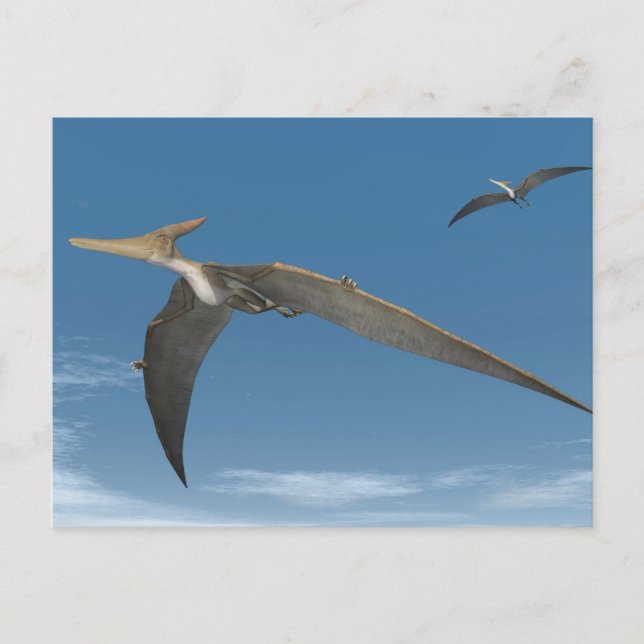 Postal Dinosaurios pteranodinos volando - rendimento 3D (Anverso)