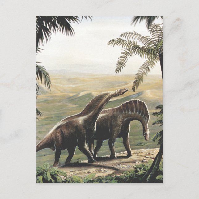 Postal Dinosaurios vintage, Amargasaurus con Palmeras (Anverso)