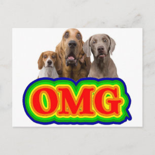 Postal ¡Dios mío, arcoiris con perros sorprendidos!