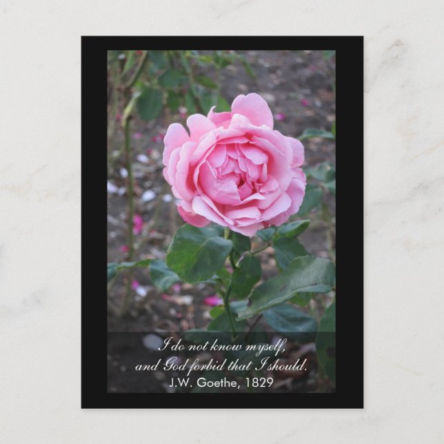 Postal Dios no lo quiera, debería conocerme a mí mismo. (Anverso)